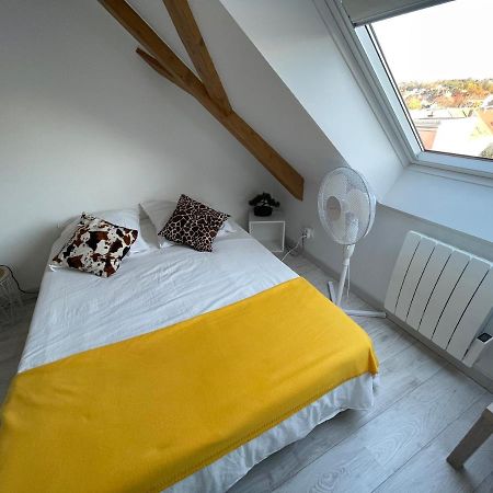 Esprit Jaune - Cosy Studio Salengro - Sauna & Sport Club Miluza Zewnętrze zdjęcie