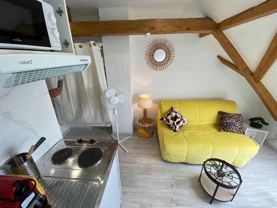 Esprit Jaune - Cosy Studio Salengro - Sauna & Sport Club Miluza Zewnętrze zdjęcie